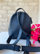 Load image into Gallery viewer, Mini Aria