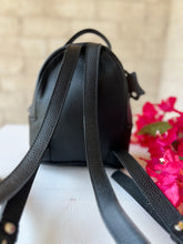 Load image into Gallery viewer, Mini Aria