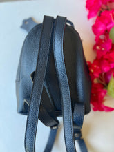 Load image into Gallery viewer, Mini Aria