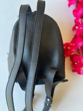 Load image into Gallery viewer, Mini Aria